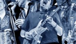 The Hamburg Blues Band & Friends