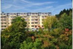 Etagenwohnung Bad Elster - 1 Zimmer, 37 m&sup2;, 320&euro; | Angebot:24750064